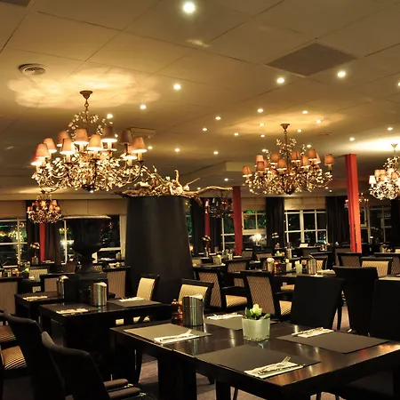 Fletcher Jan Scorel 4*