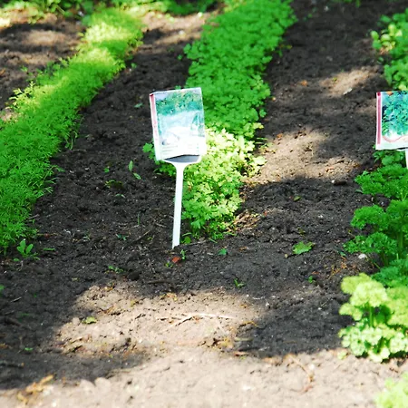 Fletcher Jan Scorel Hotel Schoorl