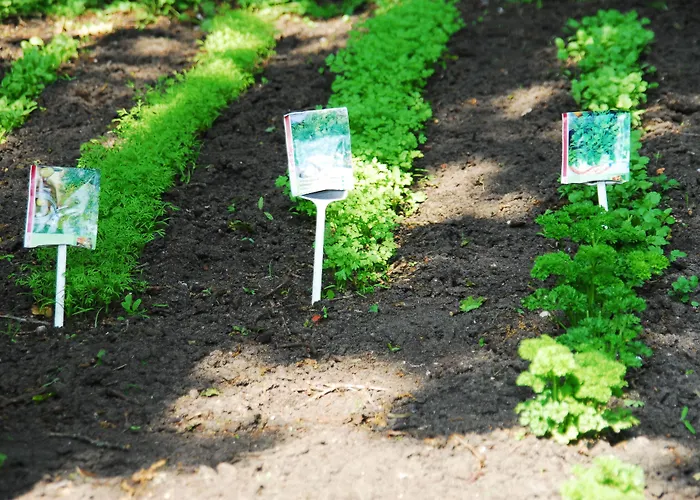 Fletcher Jan Scorel Hotel Schoorl