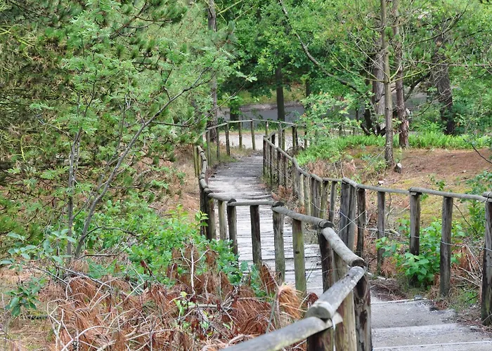 Fletcher Jan Scorel 4* Schoorl