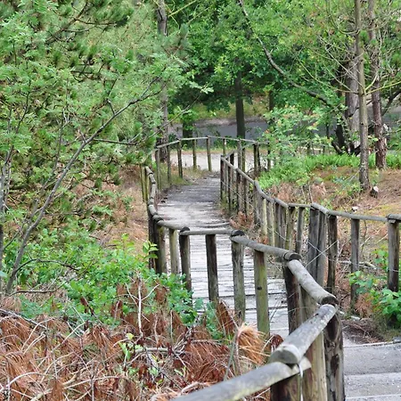 Fletcher Jan Scorel 4* Schoorl